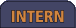 Intern